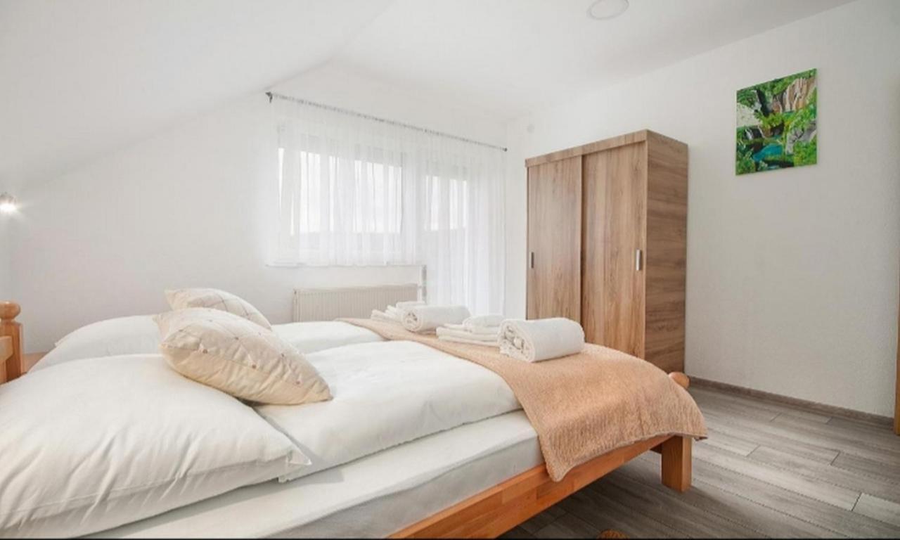 Apartment Josipa Selište Drežničko Extérieur photo