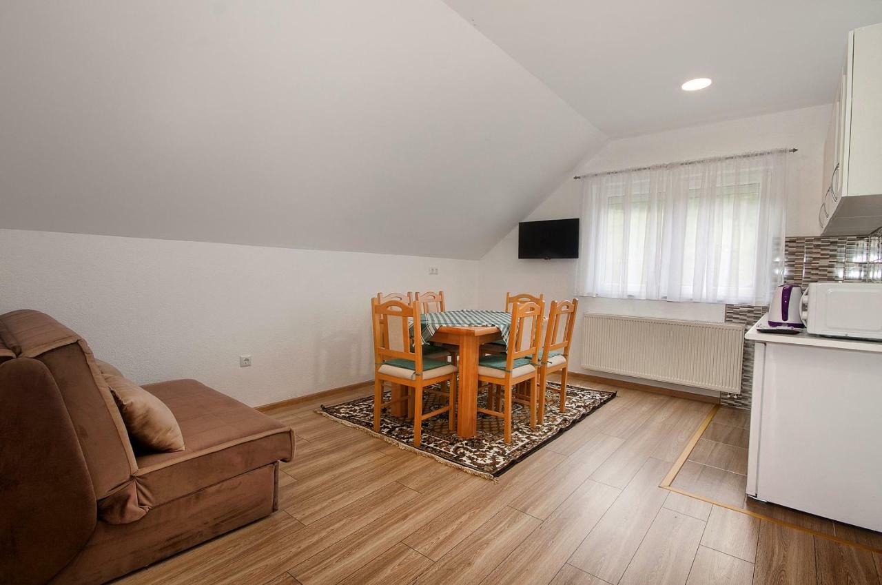 Apartment Josipa Selište Drežničko Extérieur photo