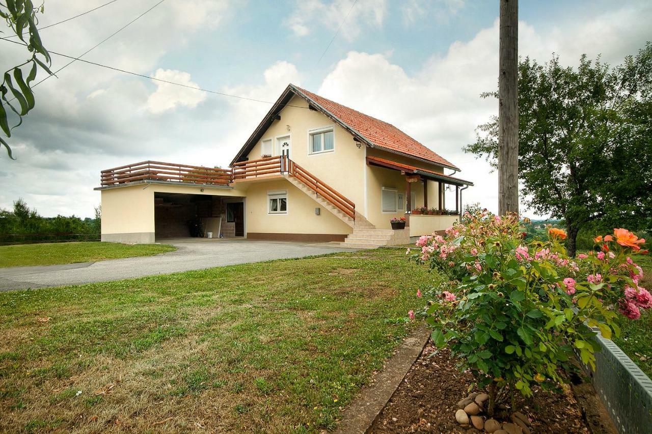 Apartment Josipa Selište Drežničko Extérieur photo