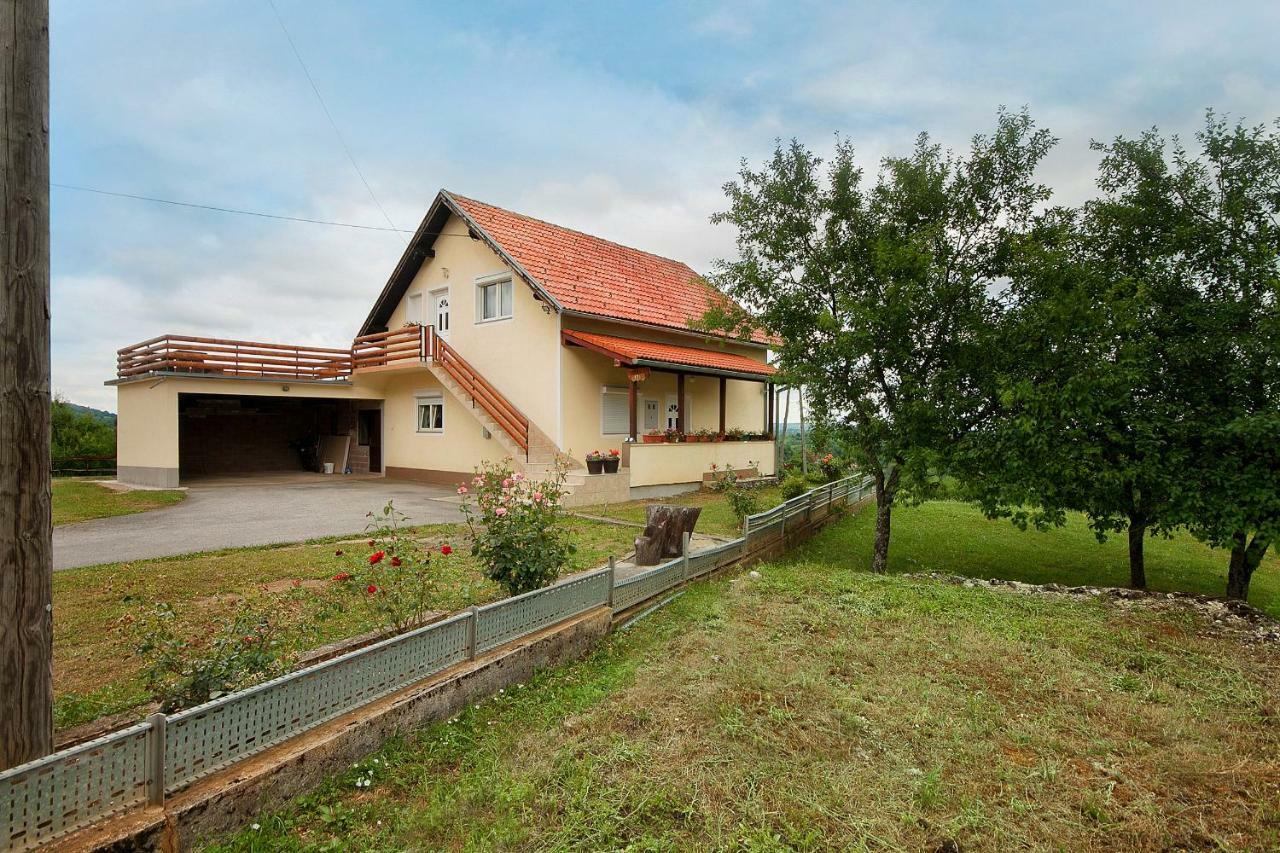 Apartment Josipa Selište Drežničko Extérieur photo